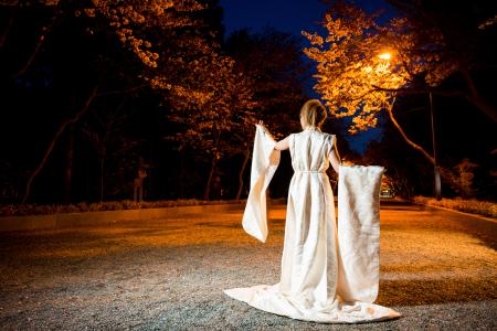Kimono Dress White white-kimono [Crane]9