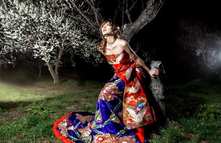 Kimono Dress Red-Blue Uchikake [Crane-Floral]34