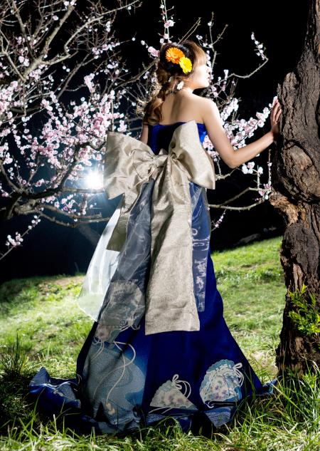 Kimono Dress Blue Tsukesage [Fan]24