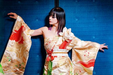 Japanese Kimono Dress Uchikake [Crane]14