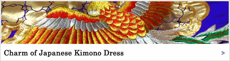 Charm of Japanese Kimono Dress